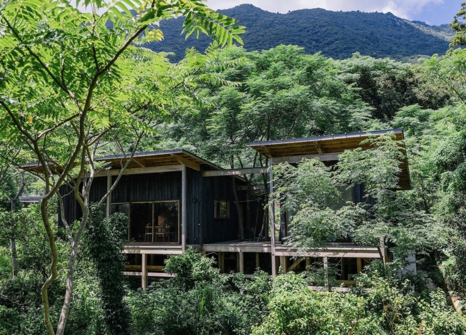 Regenerative Vegan House